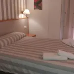 コスモス *