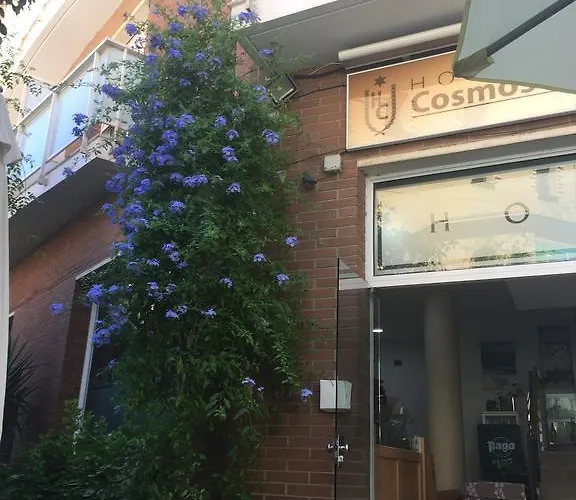 Hotel Cosmos *