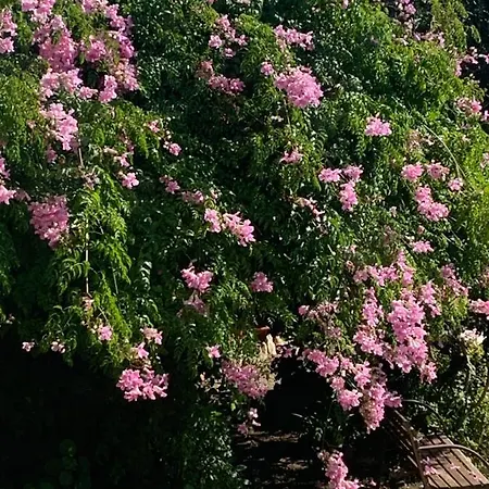 Cosmos Ξενοδοχείο *