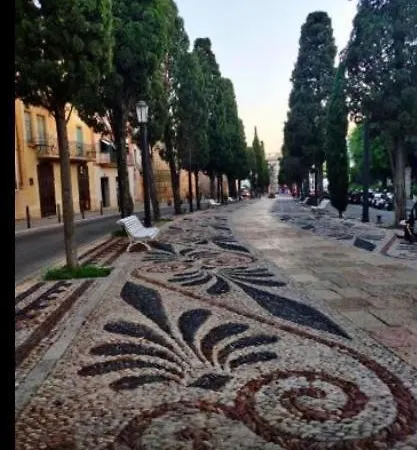 Cosmos Ταραγόνα