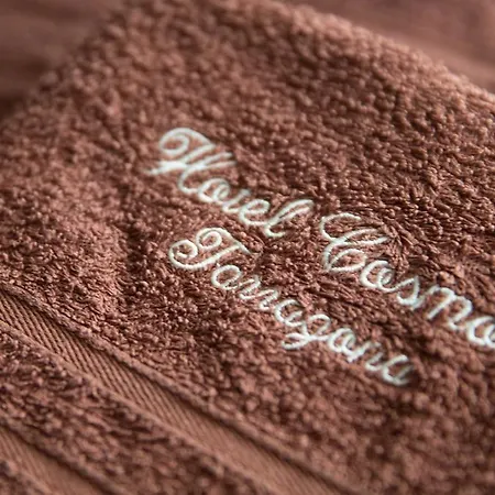 Ξενοδοχείο Cosmos *