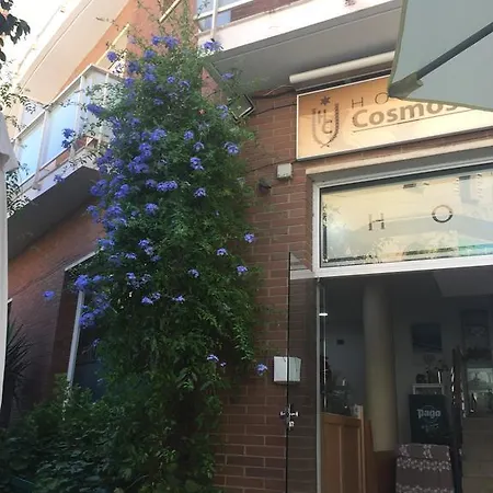 Hotel Cosmos *