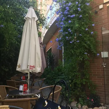 Cosmos Ταραγόνα