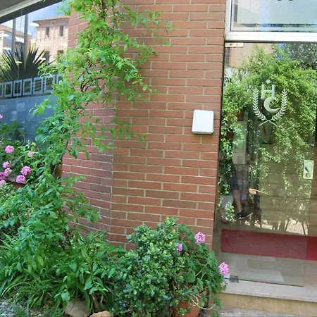 Cosmos Ταραγόνα